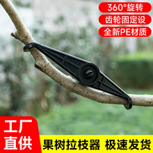 ֦֦@ˇľ֦lCe֦辰Ï