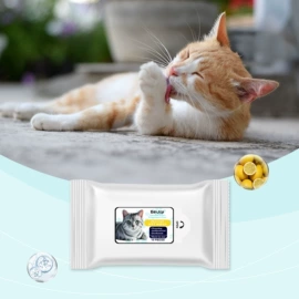 身体护理套装;其他美妆工具;头皮护理用品