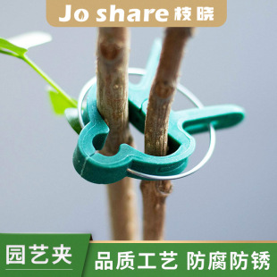 Branch Xiao Plant Gardening Clip Gardening Clip Flower Clip Garden Clip Clematis Plastic-coated Steel Pipe Phalaenopsis