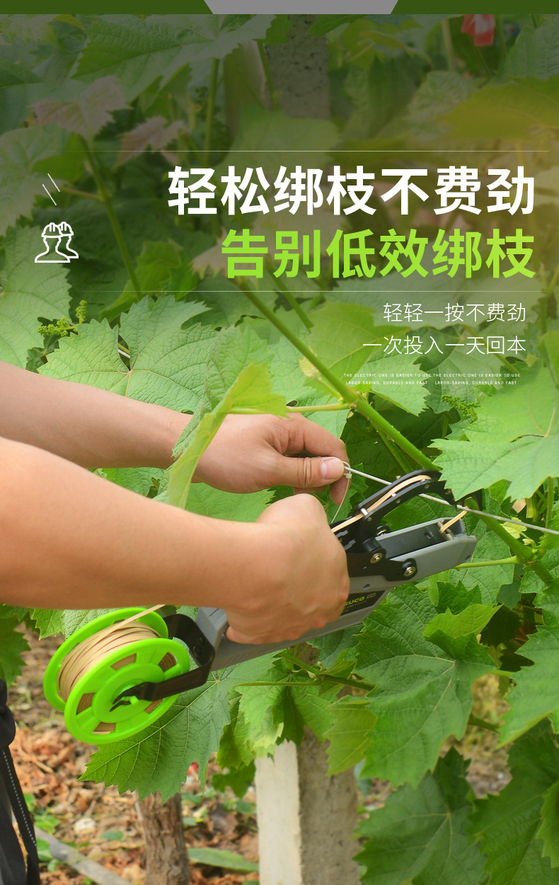 O1CN01dIbyZO1bIU6BVRYd3_!!9402