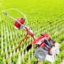 水田自动水稻除草机
