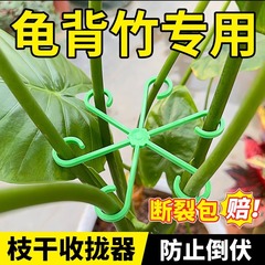 亀背竹支持棒植物水培固定倒伏防止花卉支持架花架枝枝収架定神器
