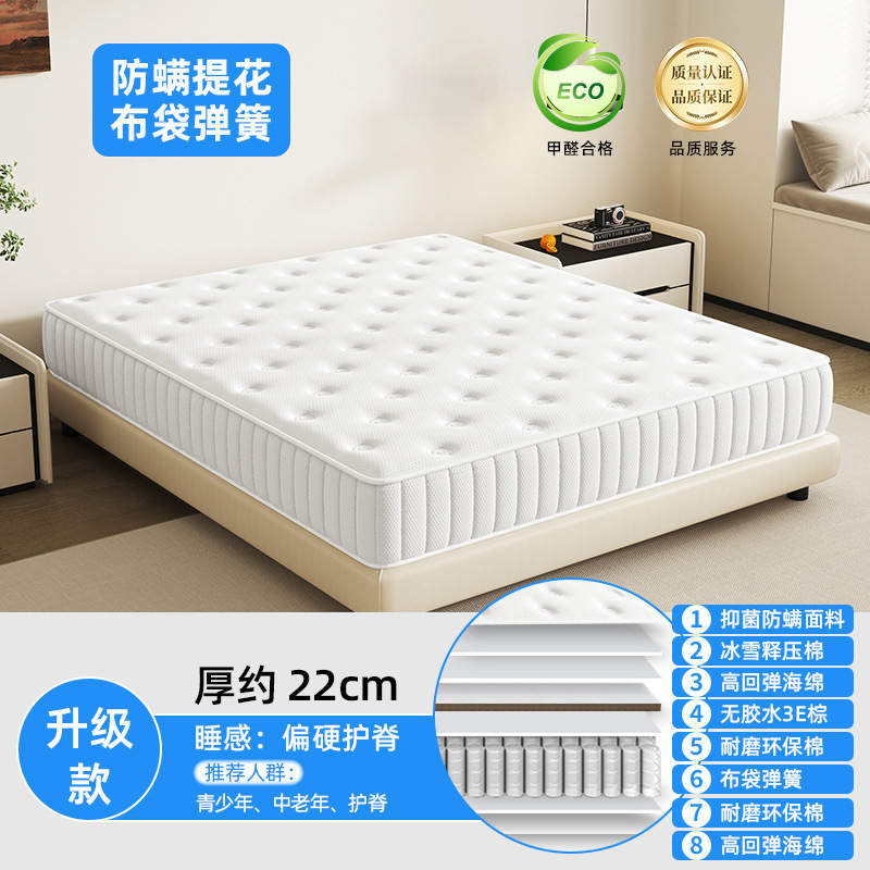 乳胶袋装弹簧床垫舒脊两用双人席梦思家用卧室公寓酒店1.8m可定制|undefined