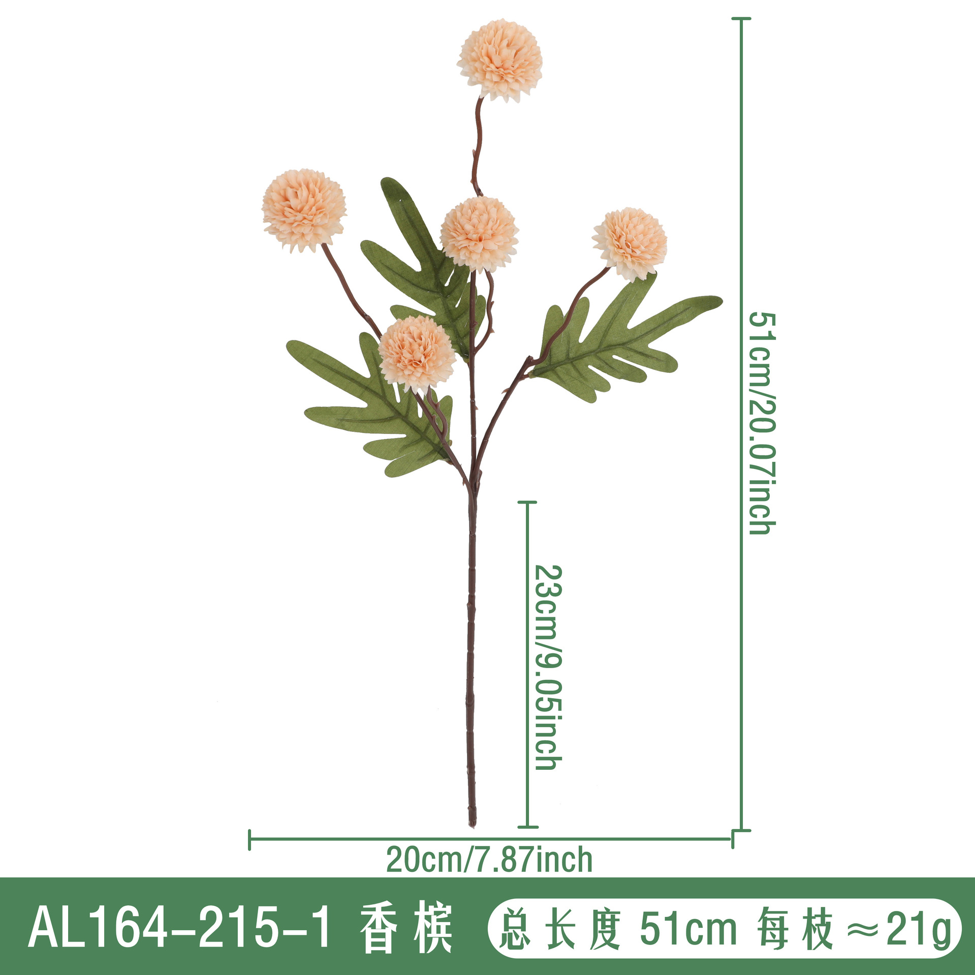 가을빛-샴페인 AL164-215-1