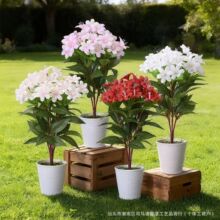 �羳���R�d���滨�����P��С���m�ҾӾƵ�[�O�����҃Ȼ��@��Y�b