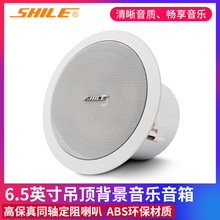 狮乐 （SHILE） BX-206定阻吸顶音响天花吸顶喇叭吊顶嵌入式音箱