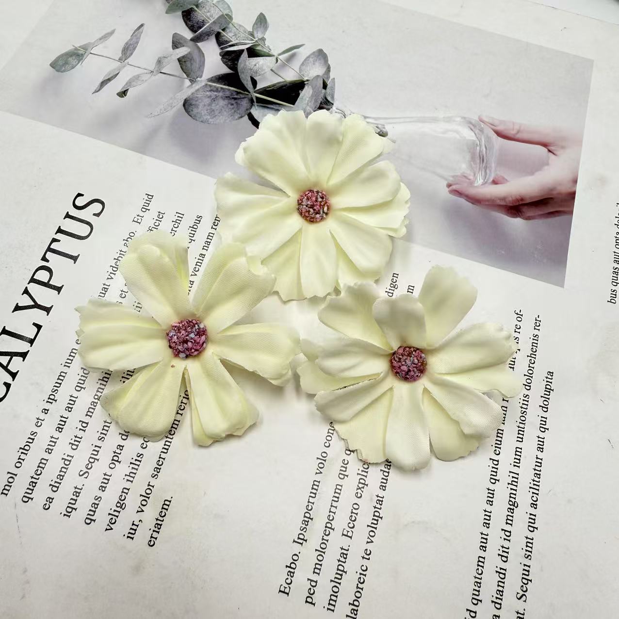 微信图片_20250813142530