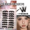 EU/US dense large curl false eyelashes