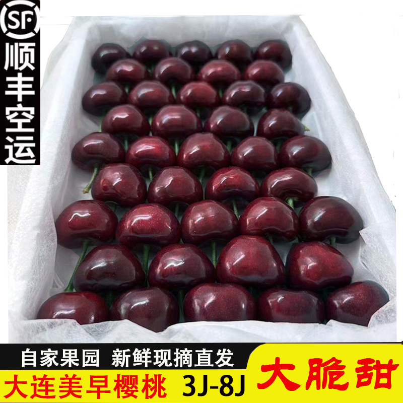 Dalian Cherry 8J Meizao Large Cherry 7J Fresh Fruit Seasonal Cherry 6J Gift Box Orchard Delivery for Pregnant Women Via Sf Express