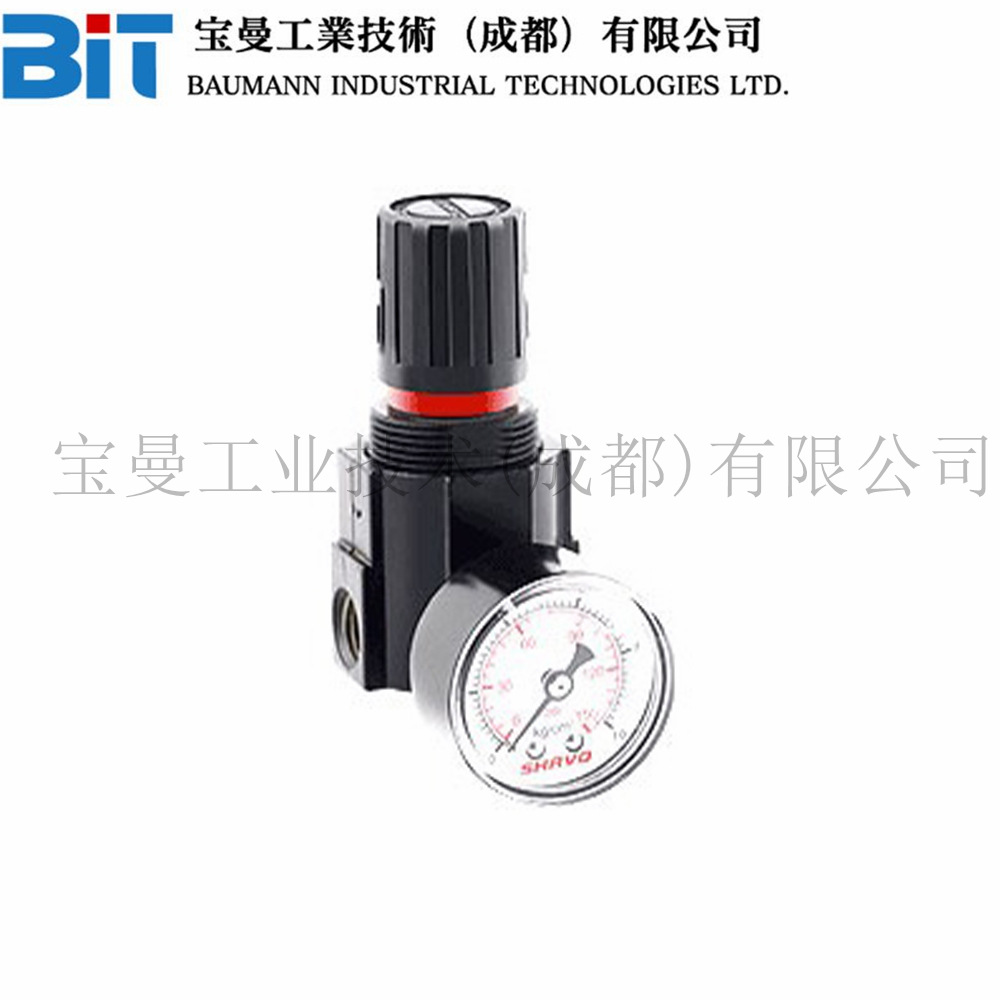 SR10印度Shavo微型压力Vayu调节减压阀塑料阀盖铝合金压铸体螺纹