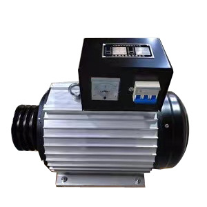 Permanent magnet generator pure copper rare earth variable frequency brushless generator