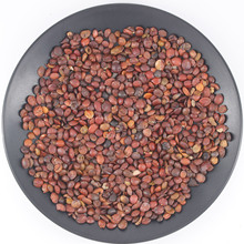 ��ș�����l�ᗗ�� ���Ϯa��؛Դ�ᗗ�ʸ�؛����r�� ���M���헗��