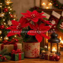 �����}�Q��һƷ�t�羳���R�d����q�������羳�b������b[��