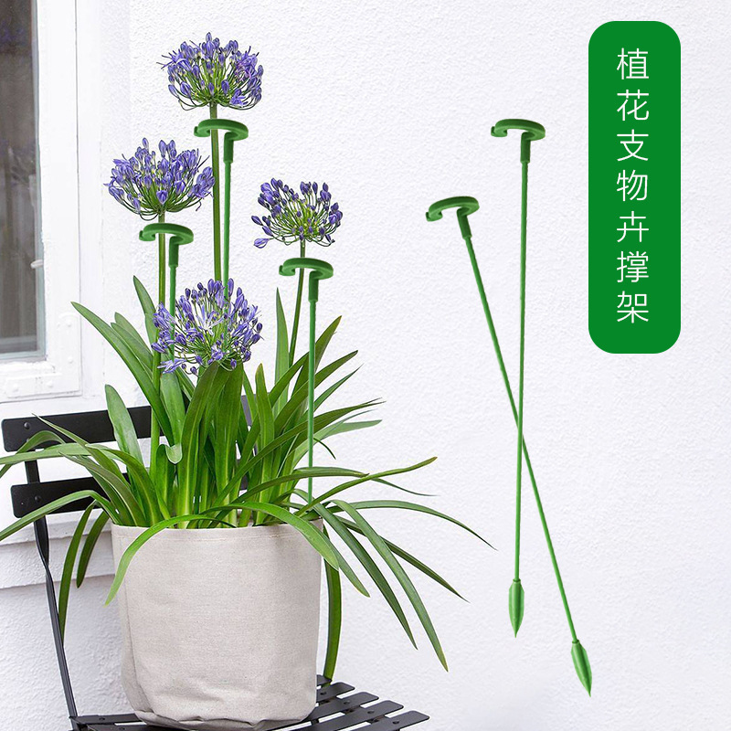 多肉蝴蝶兰专用花架支架植物盆栽花卉造型支撑杆固定防倒伏护叶架|undefined