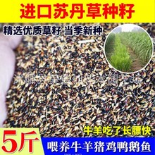 �K���ݷN���s���ߵ����ݷN���ļ��߮a���ݷN��ι�iţ���~�ò���