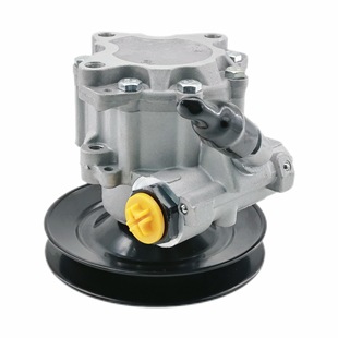 7691955376 car power steering pump is suitable for Volga 7691955375