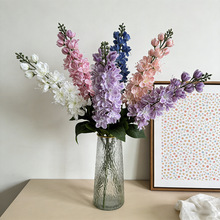 �羳���滨��z�m�w���ֲ�q�L���ӻ�c·����Y�b廨�ٻ����l