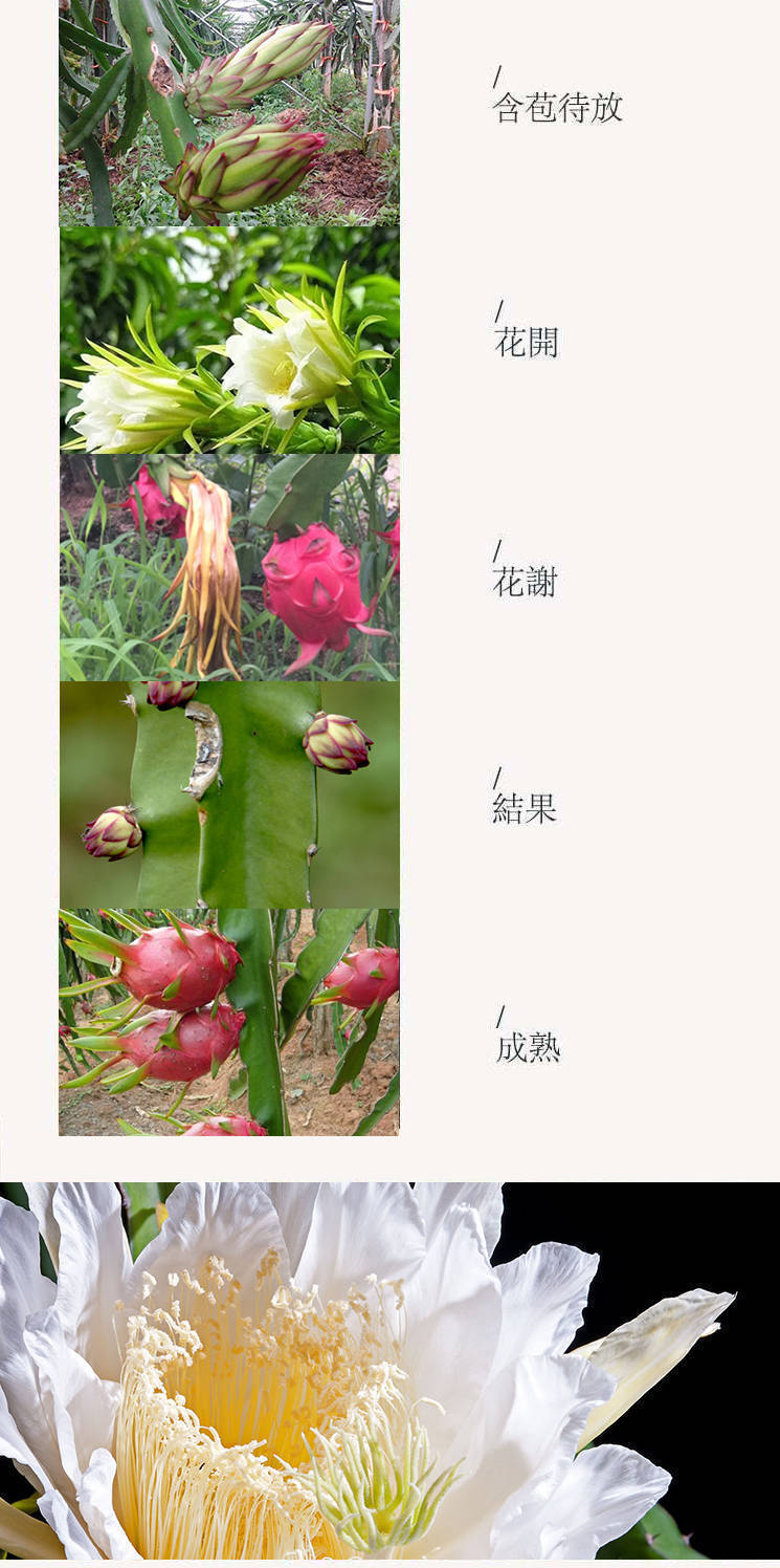 6ded2d22-0834-429a-b512-e417d80622d9.jpe