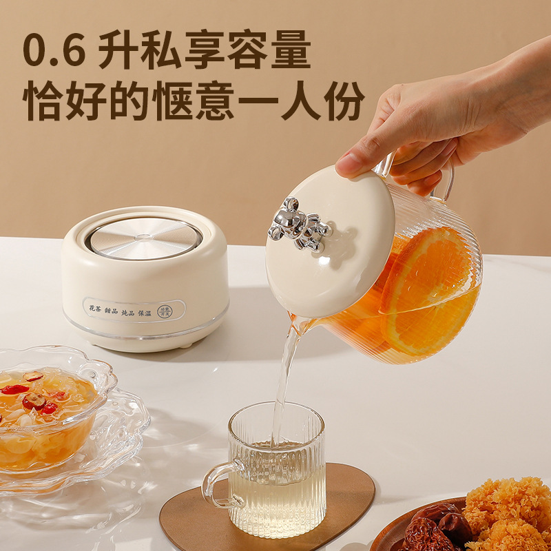 多功能家用养生壶办公室花茶壶炖煮一体煮茶壶养生杯热牛奶电炖杯|undefined