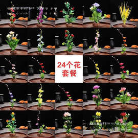 酒店意境菜品冷菜盘饰餐饮刺身摆盘装饰花草创意小摆件寿司点缀花