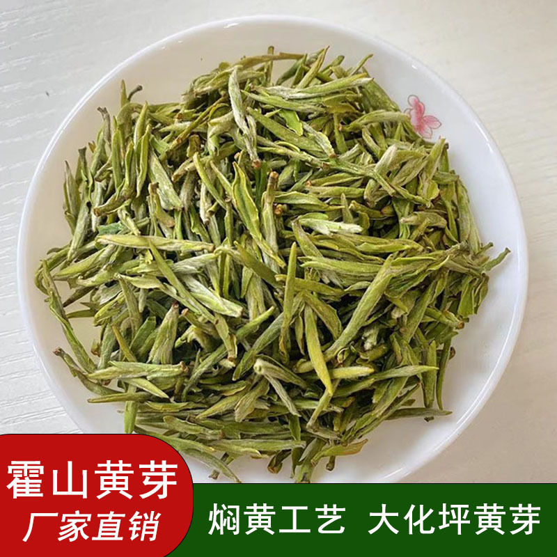 2026年新茶春茶黄茶霍山黄芽早春头采 口感醇厚 散装批发500克