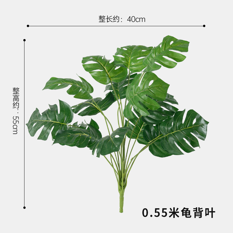 0.55 거북잎