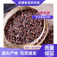 新黑小麦带皮黑小麦粒批发 黑麦 米食用黑麦粒种子杂粮散装