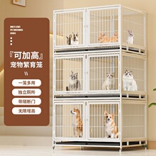 ���ӹ��\�ӃɌӎ�������ĸ��ֳ�\�����p�ӷ��w̩�Ϲ��\����\؈�\