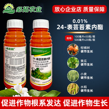 녷�24-��̦ܿ�؃���һ�̨�؃�ֲ֬�����L�{�������٘��S��ș