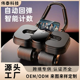 健腹器;拳击用品;其他健身器材