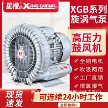 �߉����u�L�C���I��ձ��~�������C���L�C�������������uʽ���