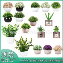 ���R�d���N�����������b �羳�Ҿ��������GֲDIY��������Ԕ[��