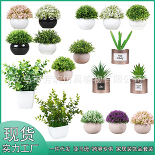���R�d���N�����������b �羳�Ҿ��������GֲDIY��������Ԕ[��