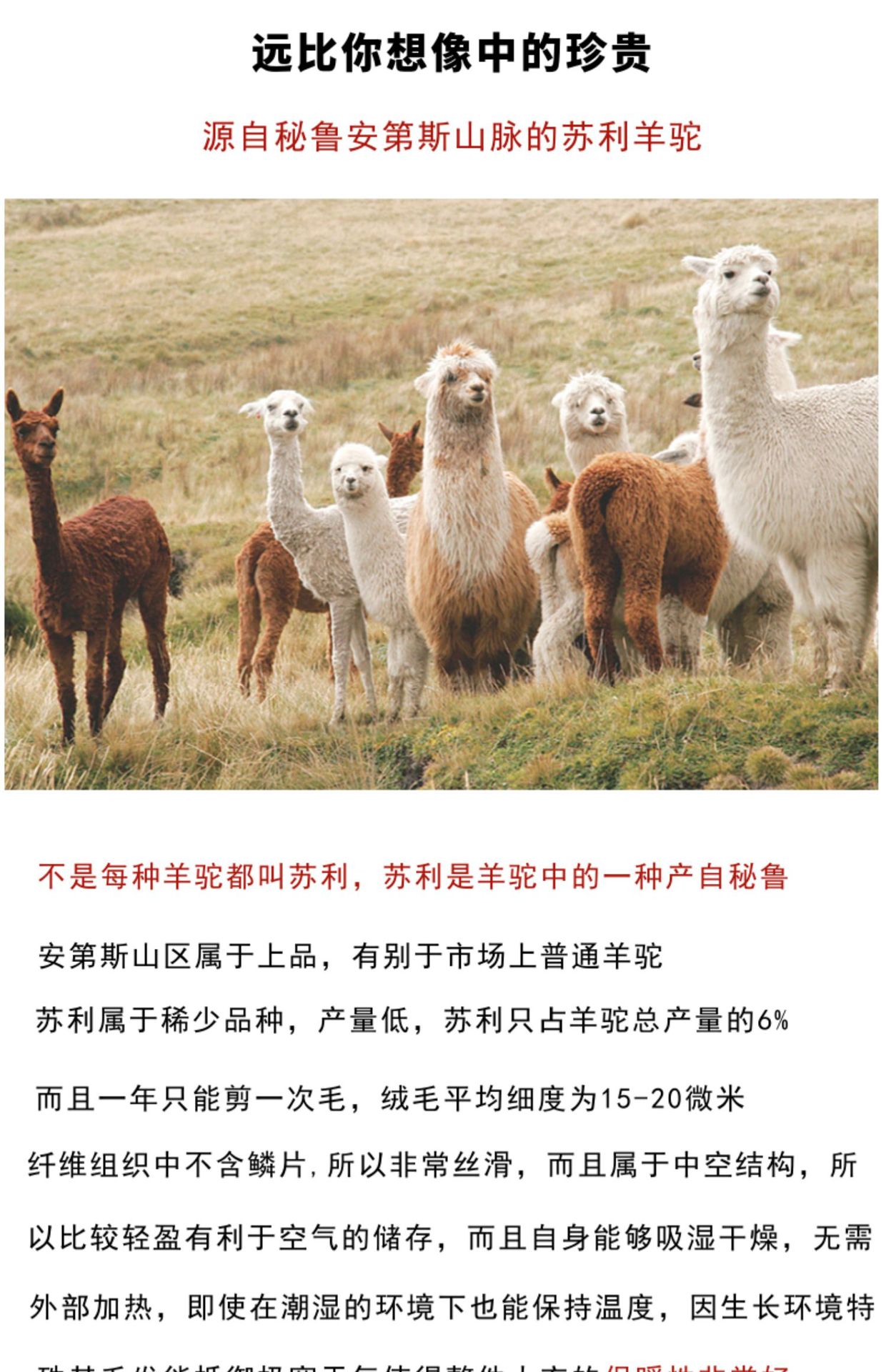 详情图片_11.jpg