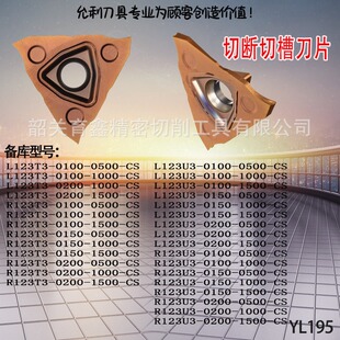 R123T3  L123T3  �����Д��в۵��S��ֱ�N�ɷǘ�
