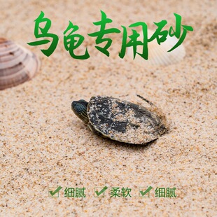 �������߷����ü���ɳ�~���b��쾰��ɰ�����{���������µ���ɰ��
