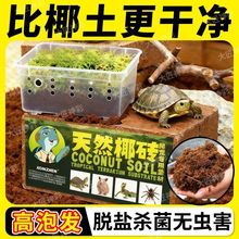 大匠神彩【爬宠椰砖土】乌龟冬眠用品巴西龟垫材爬虫椰砖保暖苔藓