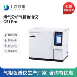 荆和 G51Pro煤气分析气相色谱仪 燃气天然气液化气热值分析仪