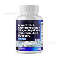 �羳���NƷ  �����J��NAD�z�� Resveratrol capsules ���S֧��O E