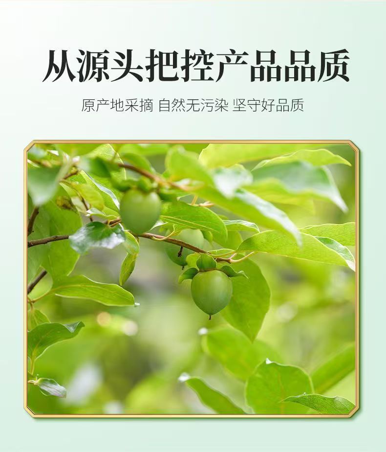Dried Persimmon Leaf Shi Ye 20g Jar Frost-Touched Herbal Tea Leaves for Daily Infusion preparation
