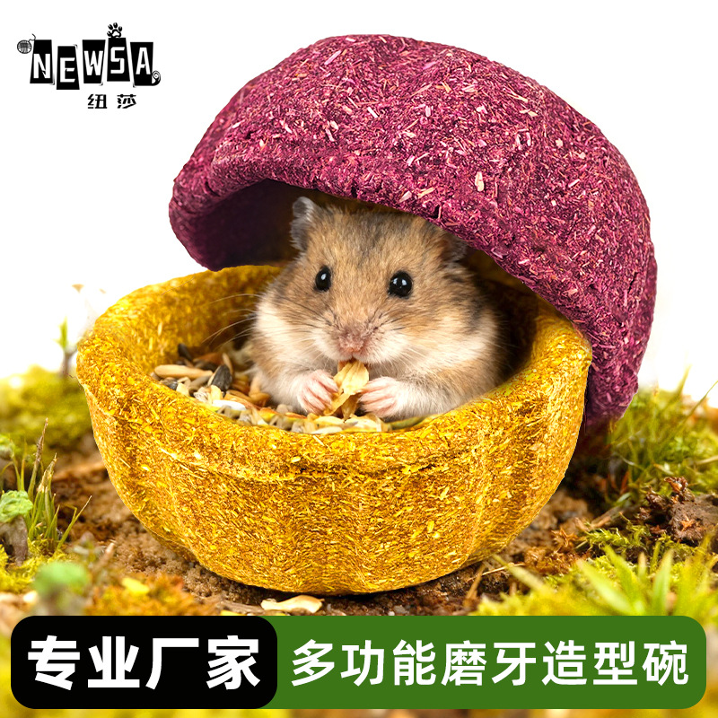 仓鼠磨牙南瓜零食碗宠物零食磨牙棒金丝熊可食用解闷玩具造景小窝