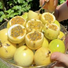 �J��9̖���r�S������ ����o���֭�Fժ�����ЋDˮ����������