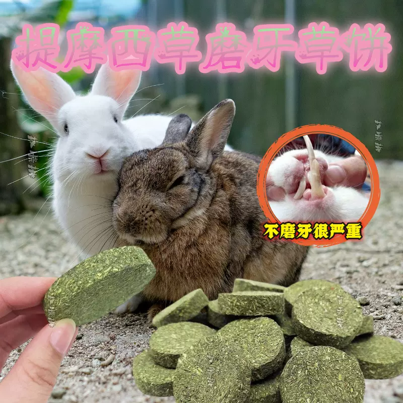 提摩西草磨牙草饼兔子仓鼠龙猫荷兰猪豚鼠啮齿类宠物啃咬零食