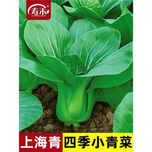 ϺСļͲ˷NѷN߲˷Nݶȫ_~K