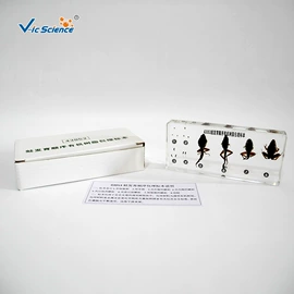 生物教学器材;医药教学器材;教学演示用品