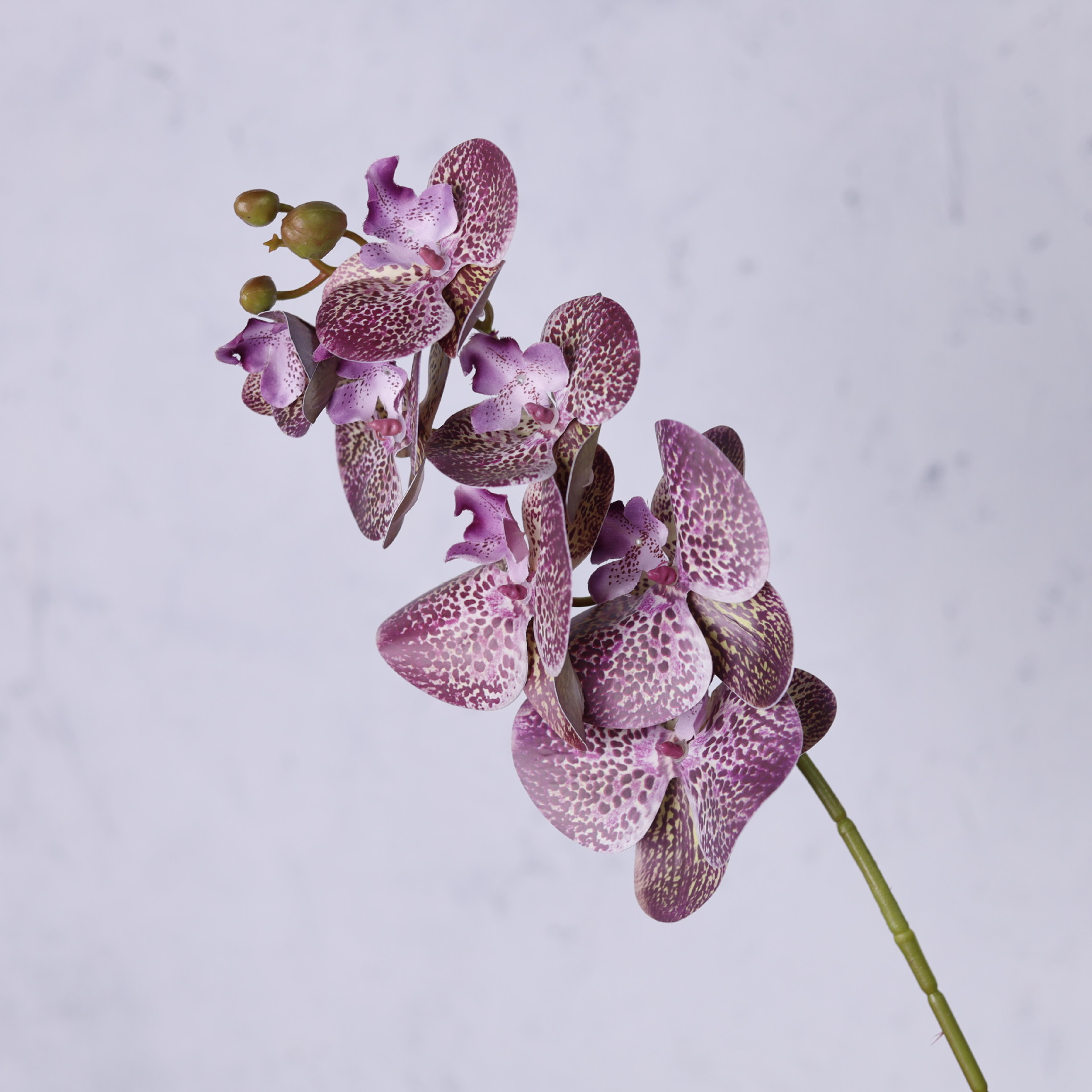 Impresión 3D de 7 cabezas de orquídeas mariposa flor de decoración de flores de alto nivel flor de nicho decoración floral decoración de sala de estar