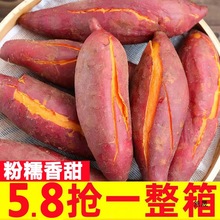 r9tFڰعķɳrԷNɽС1