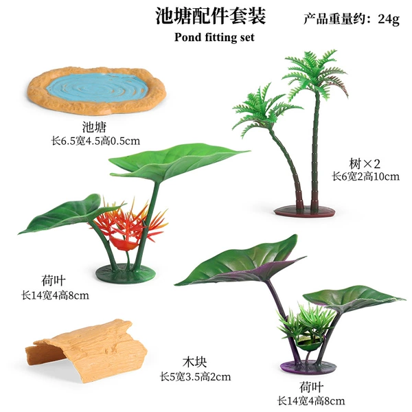 Fish pond accessories