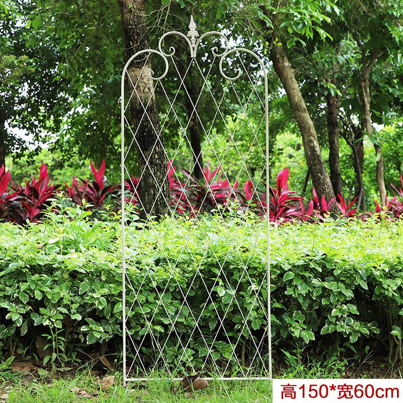 23120664118_1987642908