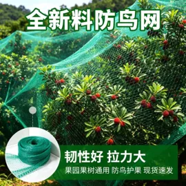 其他塑料网;袋状塑制品;包装制品配件
